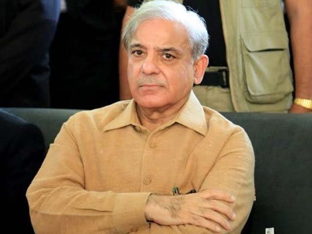 حکومت کا شہبازشریف کے خلاف لاہور ہائی کورٹ میں جانے کا فیصلہ